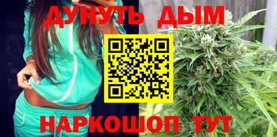 apvp Краснодар