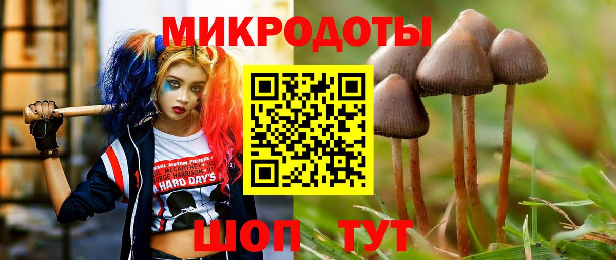 Псилоцибиновые грибы MAGIC MUSHROOMS  Псилоцибиновые грибы мухоморы  Вход с VPN  Котовск 