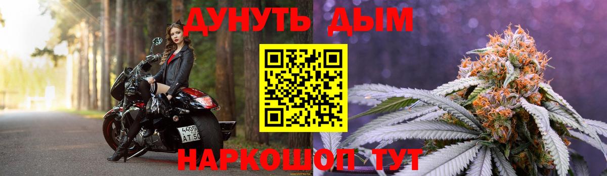 Бошки Шишки конопля Котовск